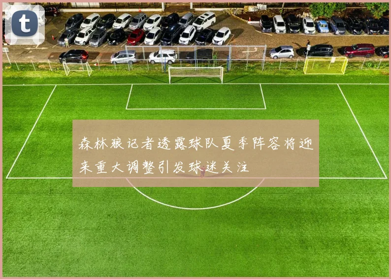 森林狼记者透露球队夏季阵容将迎来重大调整引发球迷关注