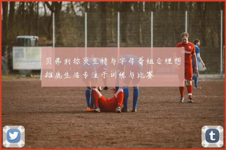 贝弗利称莫兰特与字母哥组合理想雄鹿生活专注于训练与比赛