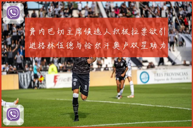 费内巴切主席候选人积极拉票欲引进格林伍德与恰尔汗奥卢双星助力球队